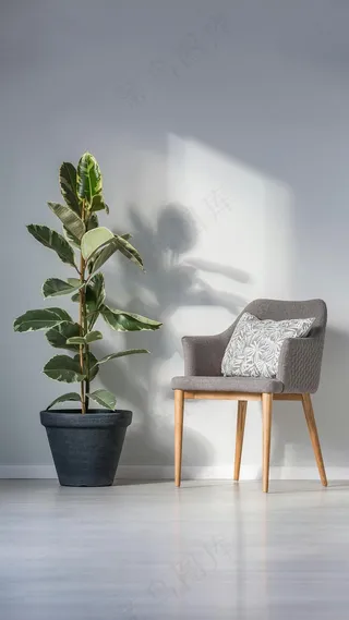 盆景与椅子高清摄影图片