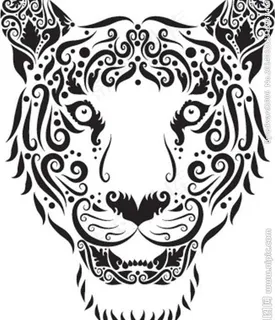 花纹动物昆虫图片