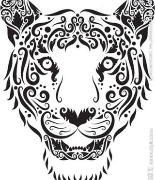 花纹动物昆虫图片