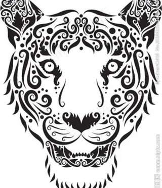 花纹动物昆虫图片