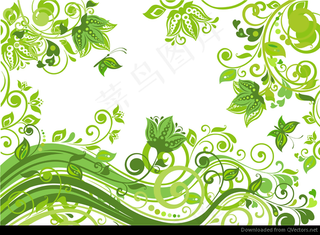 摘要植物的绿色背景的。