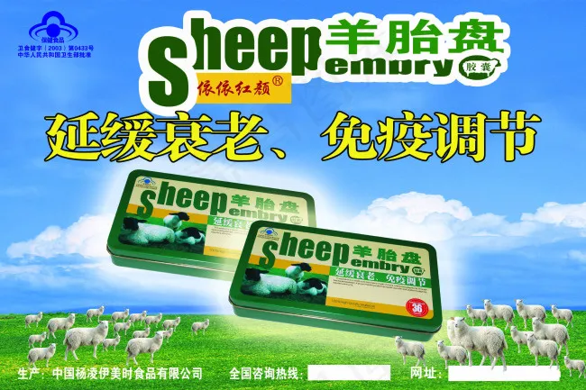 羊胎盘海报psd模版下载