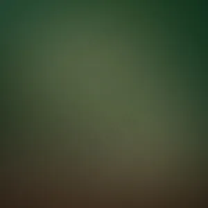 动感背景第二波一百张