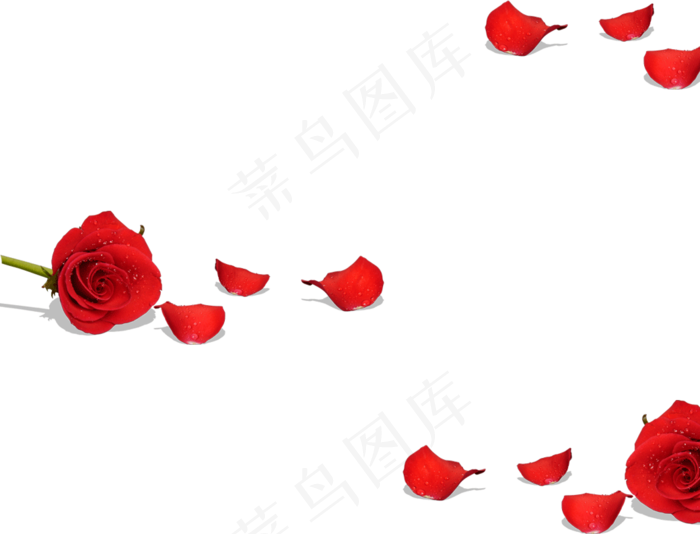 粉色悬浮玫瑰花花瓣效果素材