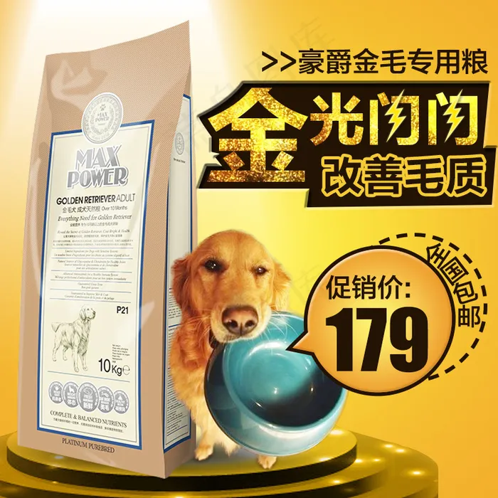 金毛狗狗 狗粮直通车 主图psd模版下载
