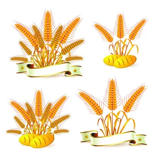 成熟麦子标签