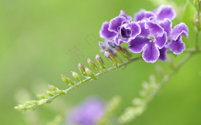 高清电脑桌面背景壁纸