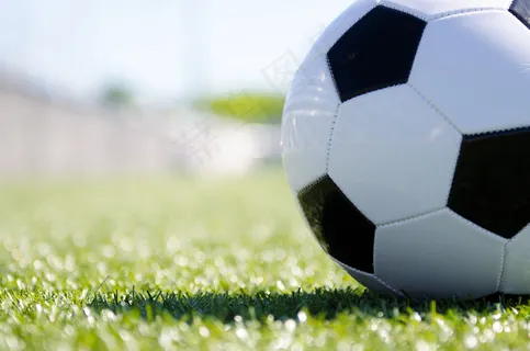 草坪上的足球