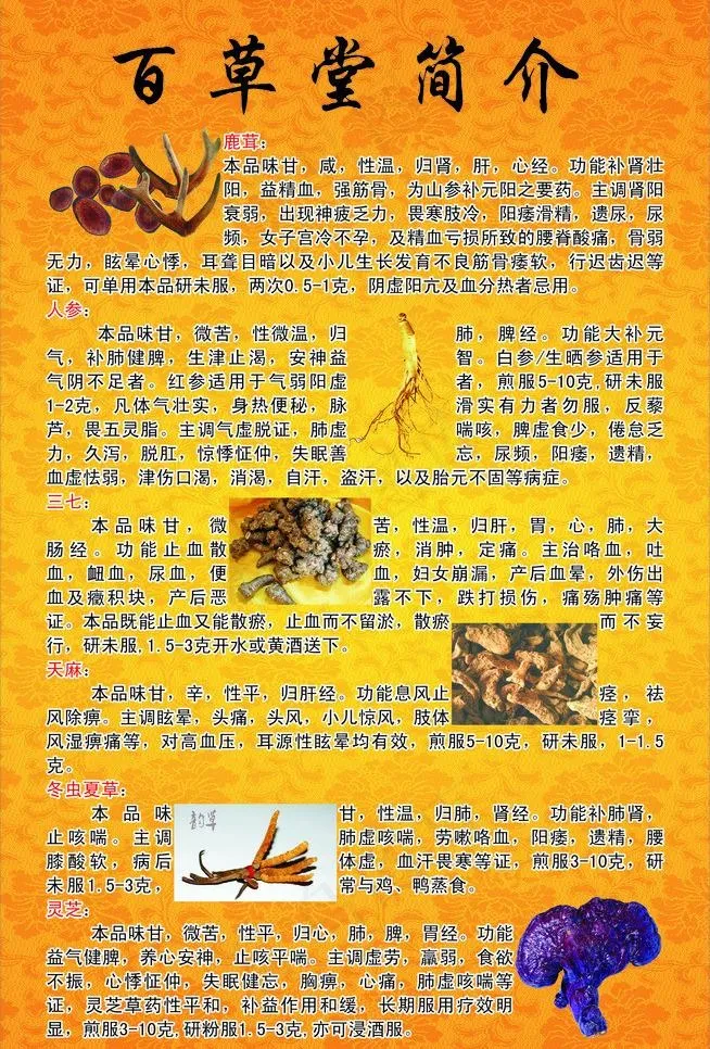 中药简介图片(210X297)cdr矢量模版下载