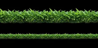 绿化带 绿化草地图片