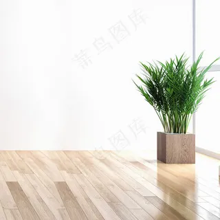 简约小清新场景家居家电主图背景 简约小清新场景家居家电主图背景