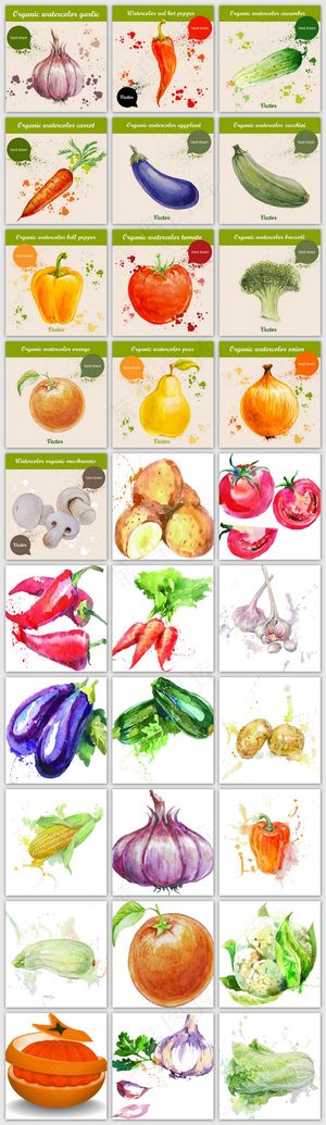 多款手绘果蔬设计素材