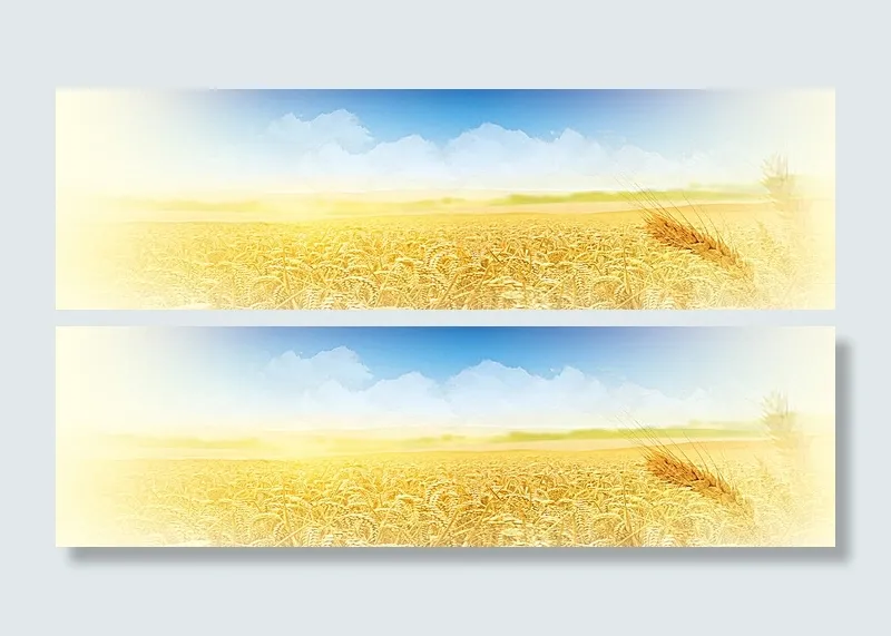 蓝天稻田背景图片(13902X4228(DPI:30))psd模版下载