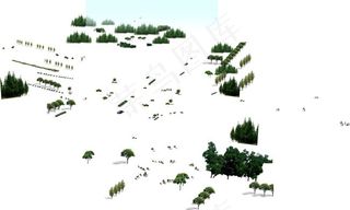 绿化植物及人物