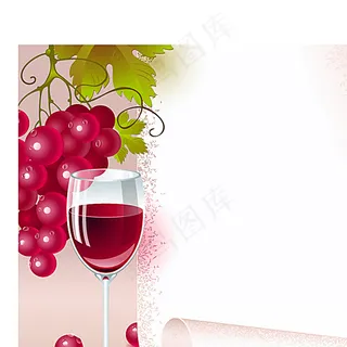 葡萄与葡萄酒 葡萄与葡萄酒