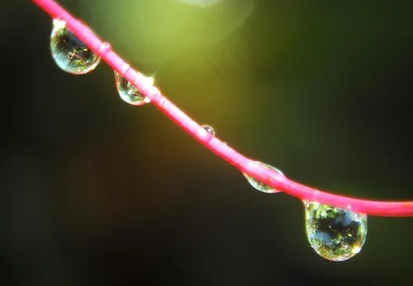 水滴图片