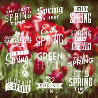 白色春季艺术字矢量图