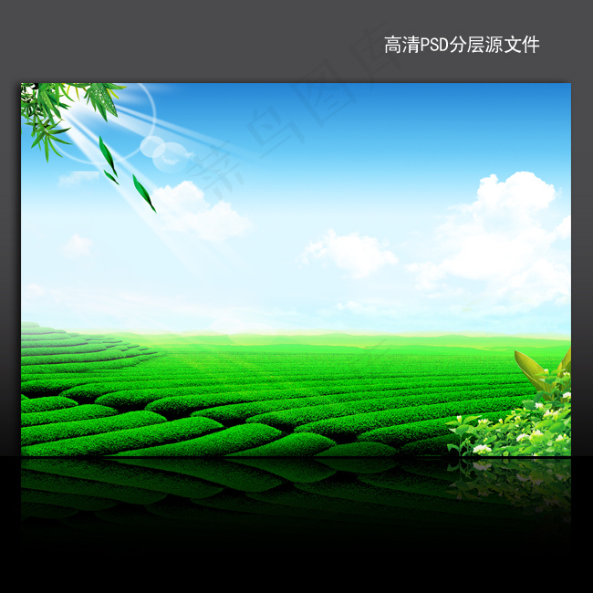 清新自然茶园风光高清PSD模板下载(4961X3366(DPI:300))psd模版下载