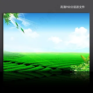 清新自然茶园风光高清PSD模板下载