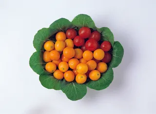 水果创意摄影图片