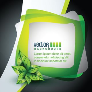 自然元素矢量形状04