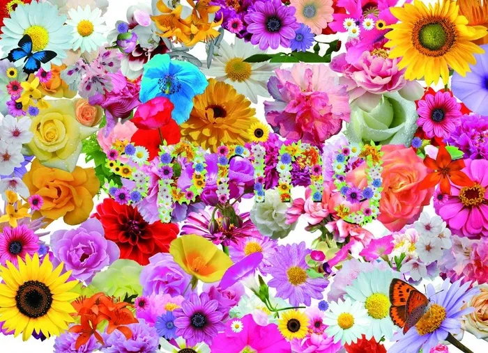 鲜花素材图片(3780X2953(DPI:300))psd模版下载