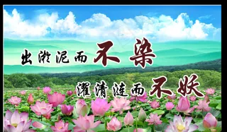 出淤泥而不染模板下载