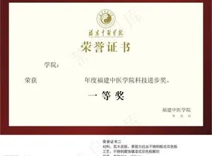 荣誉证书铜牌式横图片