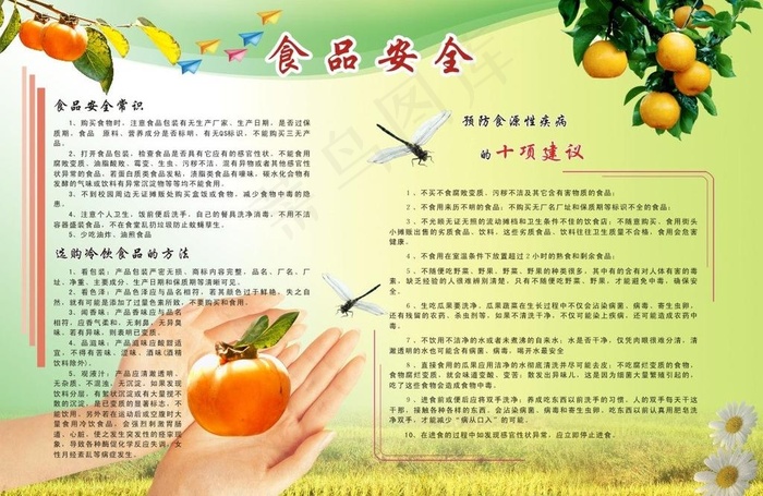 食品安全小报图片