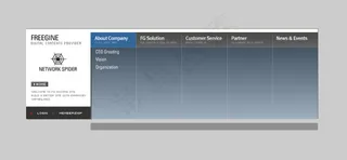 flash网页导航条菜单动画源文件...