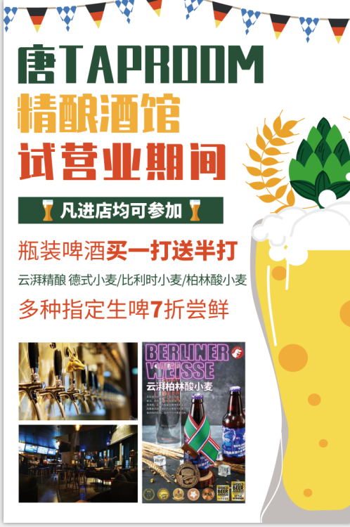 简约大气精酿啤酒酒吧宣传海报活动