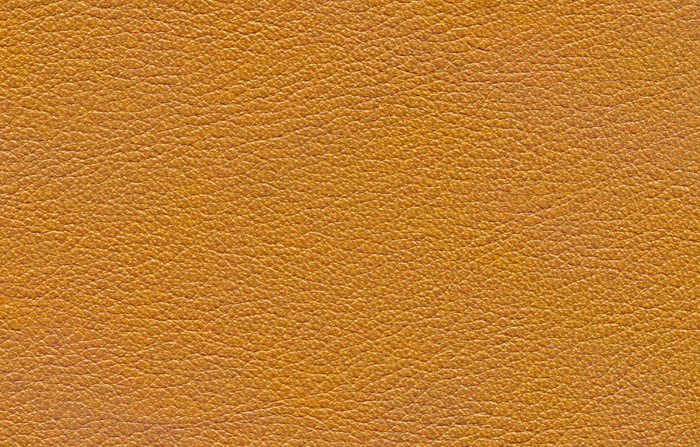 动物皮纹图片设计图JPG