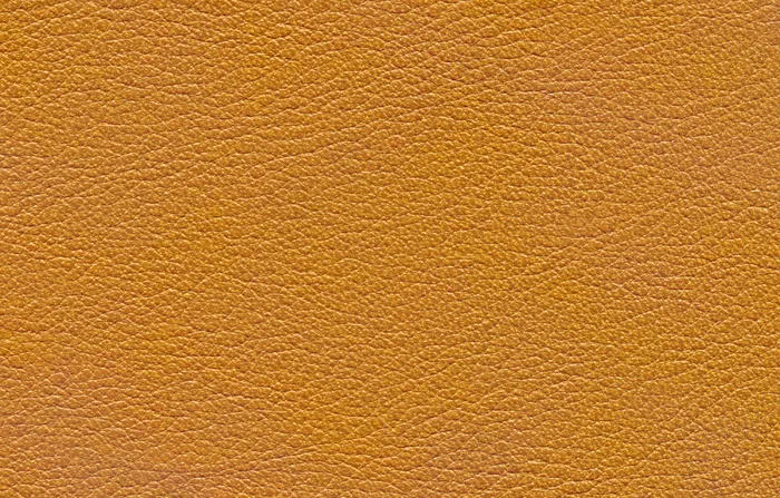 动物皮纹图片设计图JPG