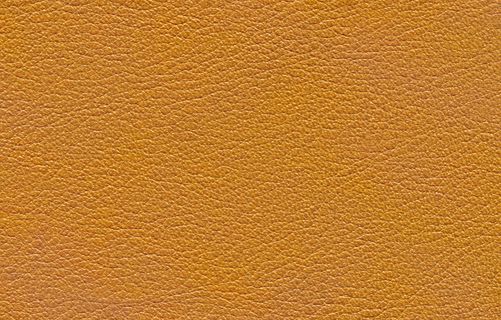 动物皮纹图片设计图JPG