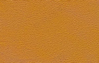 动物皮纹图片设计图JPG