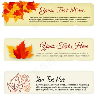 枫叶矢量图素材