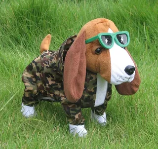 电动迷彩狗图片