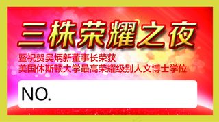 红色胸贴荣耀之夜