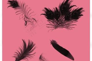 ps卡通笔刷图片