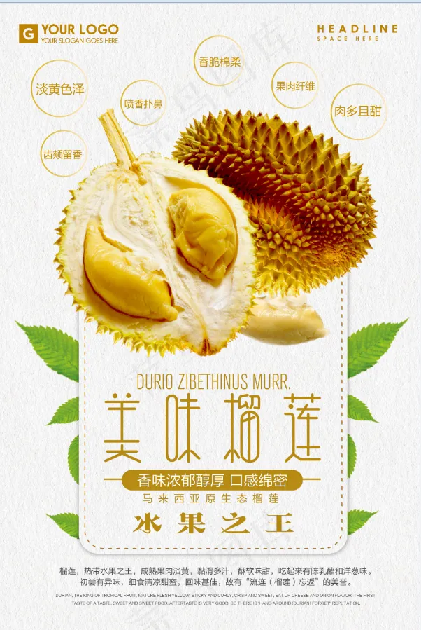 榴莲 新鲜psd模版下载