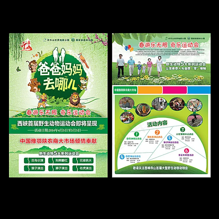 野生动物图片