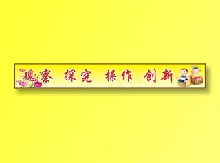 观察  探究  操作  创新