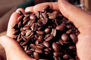 咖啡豆图片