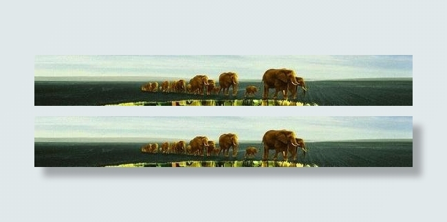 生态自然创意地产广告PSD 下载