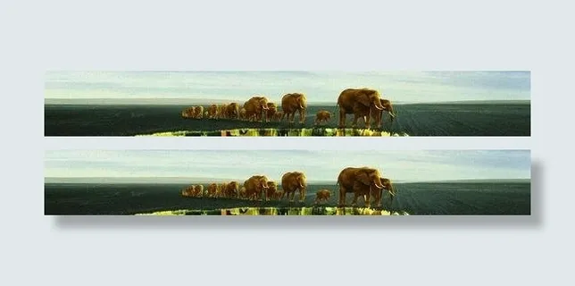 生态自然创意地产广告PSD 下载