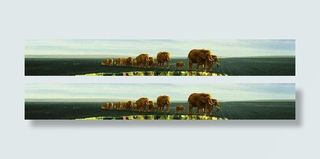 生态自然创意地产广告PSD 下载