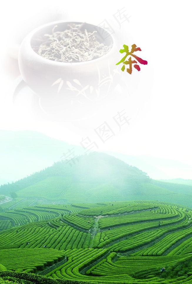 茶 茶山 绿茶图片(2193X3437(DPI:83))psd模版下载