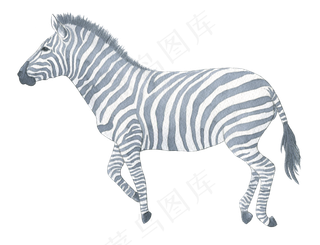 手绘水彩动物昆虫树花草png免扣设...