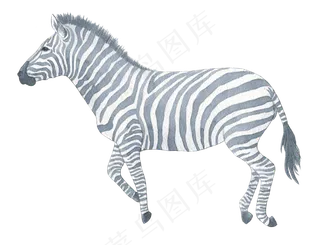 手绘水彩动物昆虫树花草png免扣设...