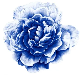 青花瓷素材图片